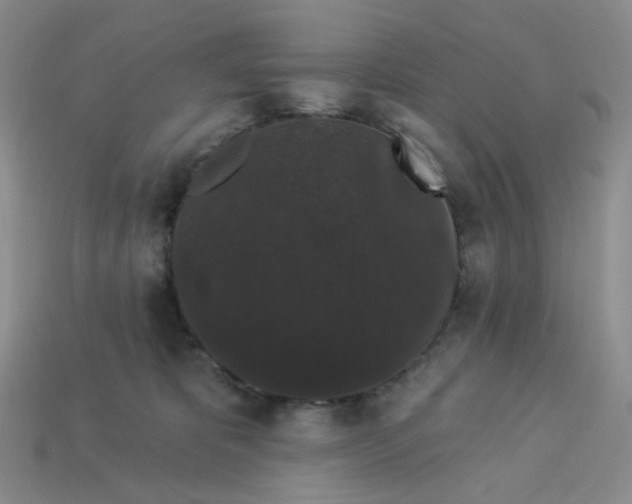 X0000113270325200910011433