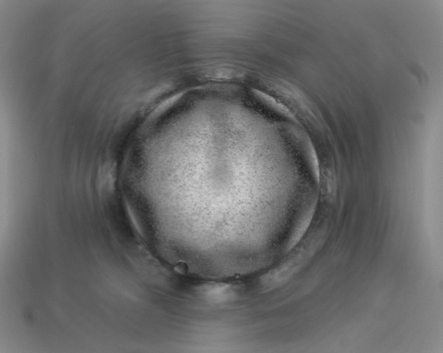 X0000113270326200910011433