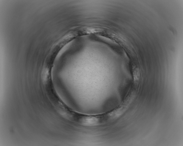 X0000113270327200910011433