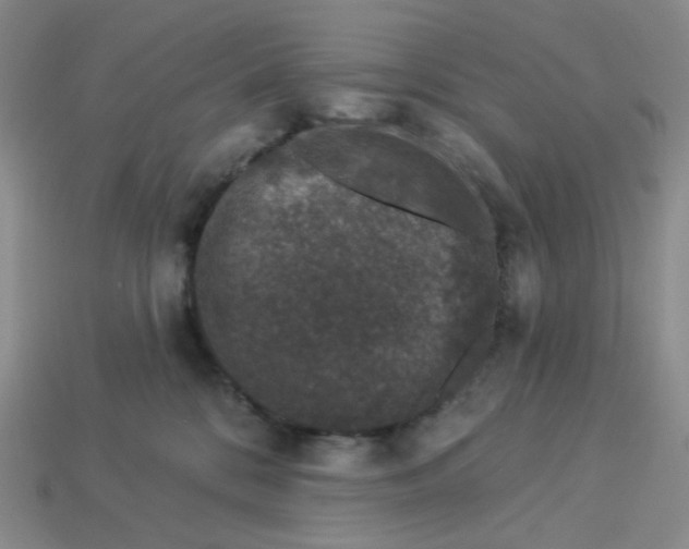 X0000113270328200910011433