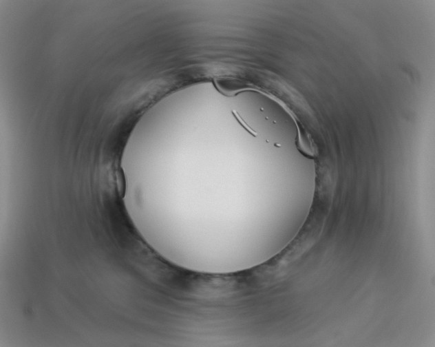 X0000113270329200910011433