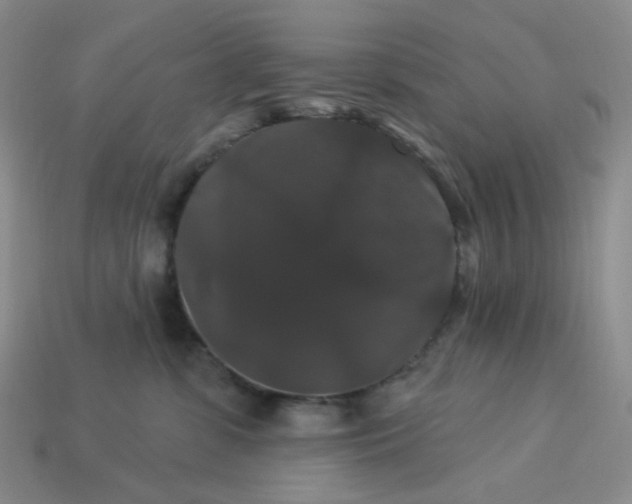 X0000113270331200910011433