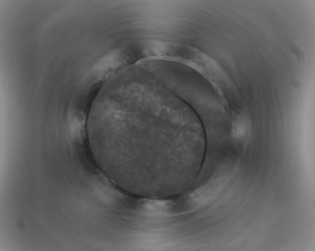 X0000113270332200910011433