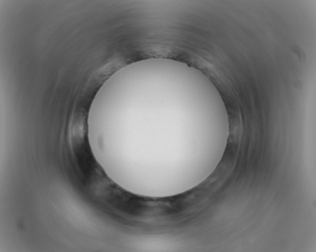 X0000113270334200910011433