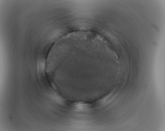 X0000113270336200910011433