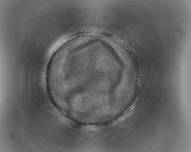 X0000113270341200910011432