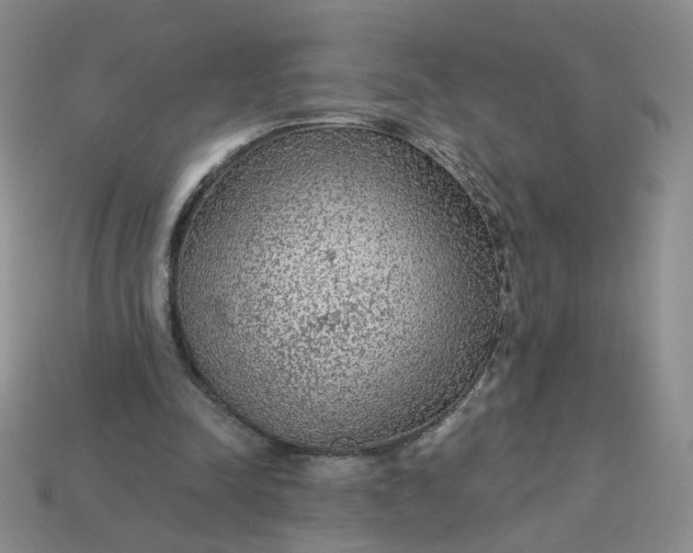 X0000113270342200910011432