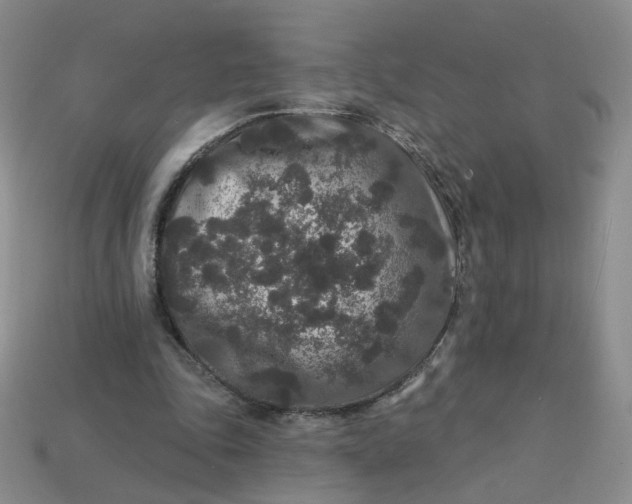 X0000113270343200910011432