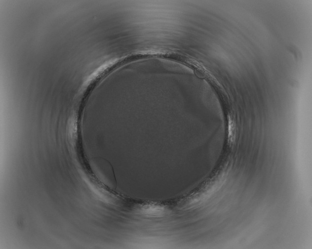 X0000113270348200910011432