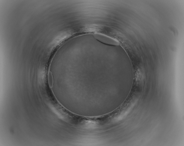 X0000113270352200910011433