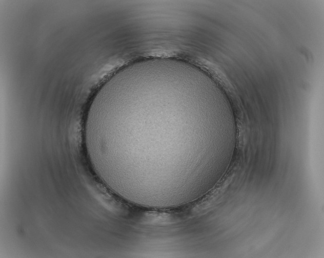 X0000113270354200910011433