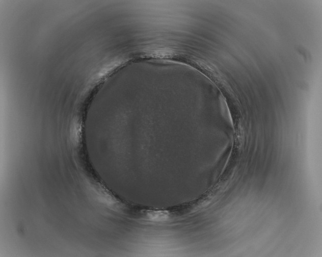 X0000113270355200910011433