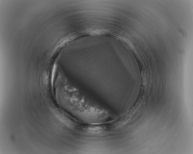 X0000113270357200910011433