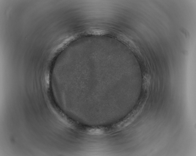 X0000113270358200910011433