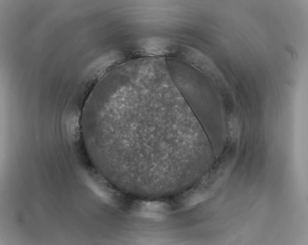 X0000113270360200910011433