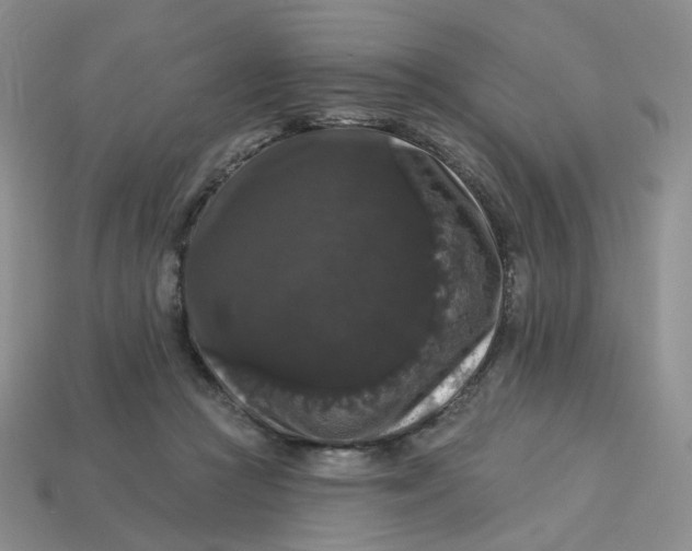 X0000113270361200910011433