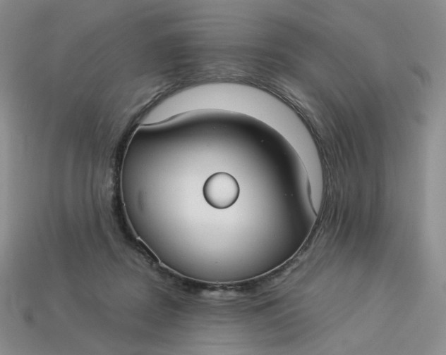 X0000113270362200910011433