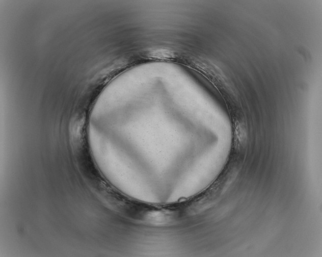 X0000113270364200910011433