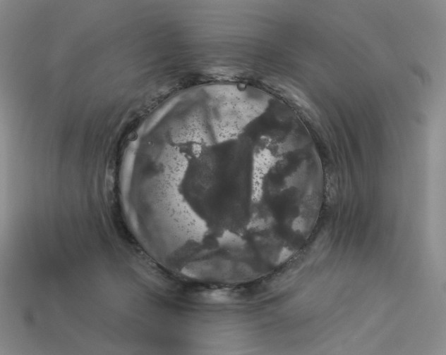 X0000113270365200910011433