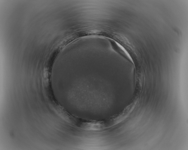 X0000113270366200910011433