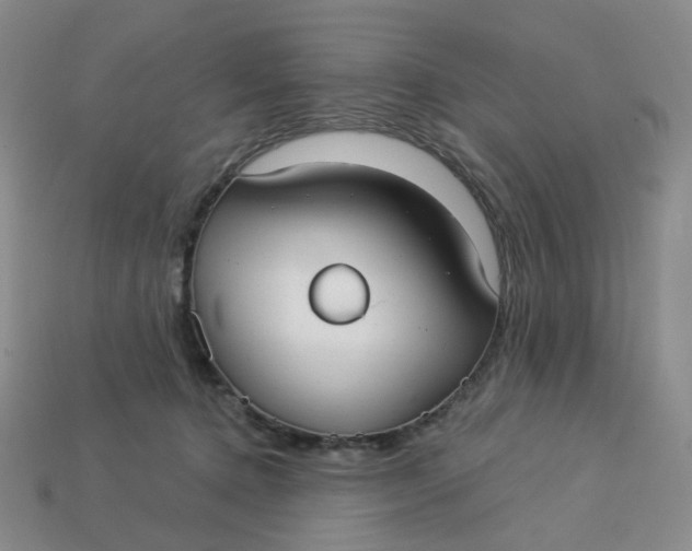 X0000113270368200910011433