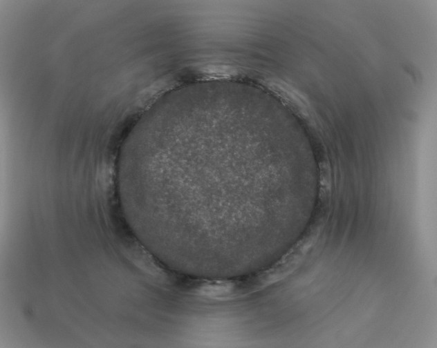 X0000113270369200910011433