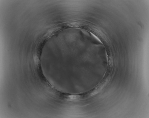 X0000113270371200910011433