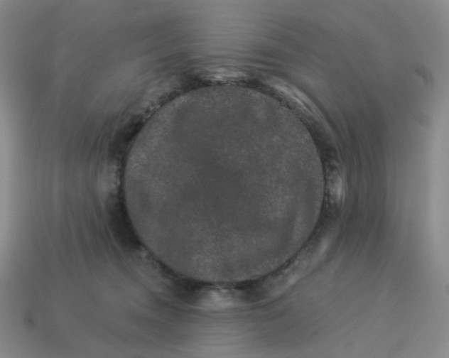 X0000113270372200910011433