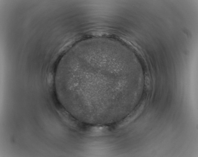 X0000113270375200910011433