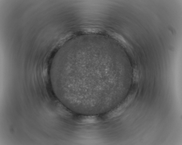 X0000113270377200910011433