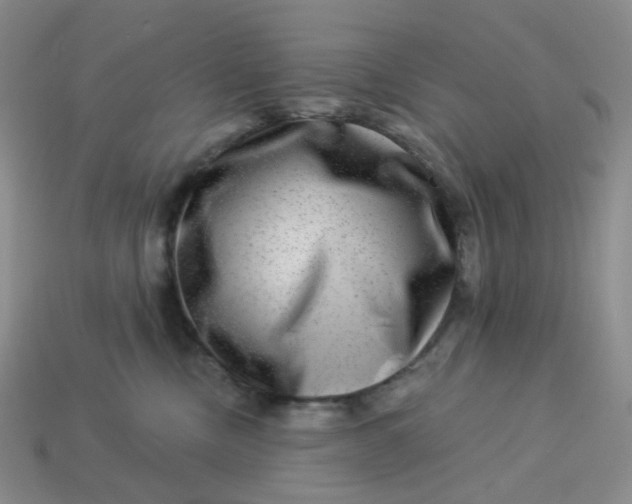 X0000113270378200910011433