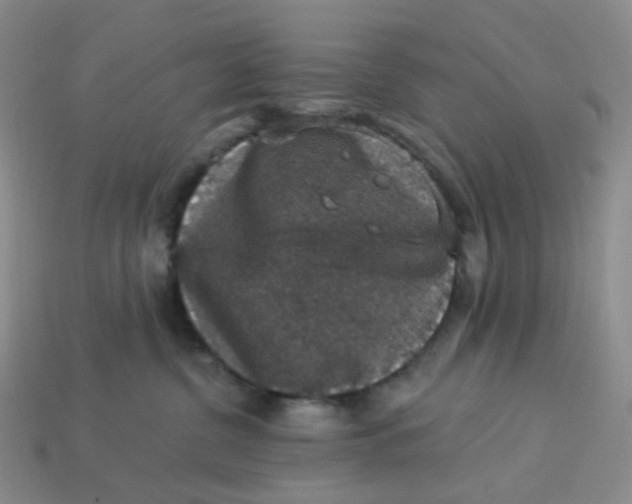 X0000113270380200910011433