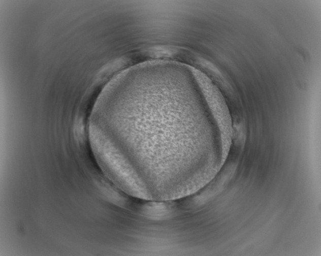 X0000113270381200910011433