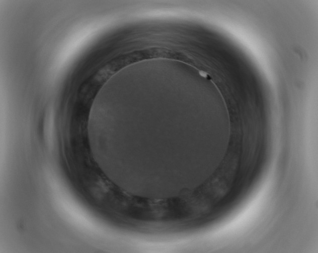 X0000113270382200910011433