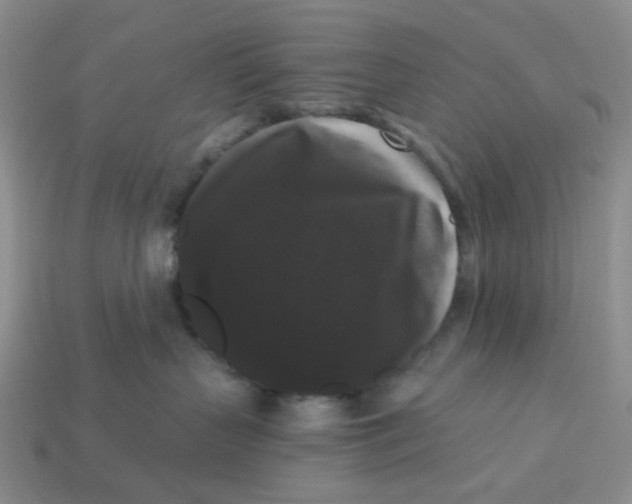 X0000113270383200910011433