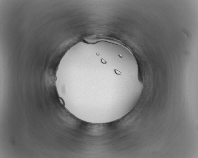 X0000113270384200910011433