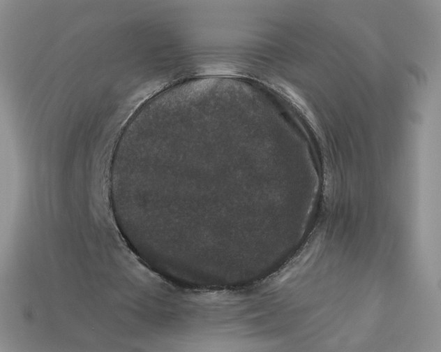 X0000113270385200910011432