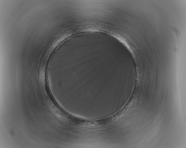 X0000113270386200910011432