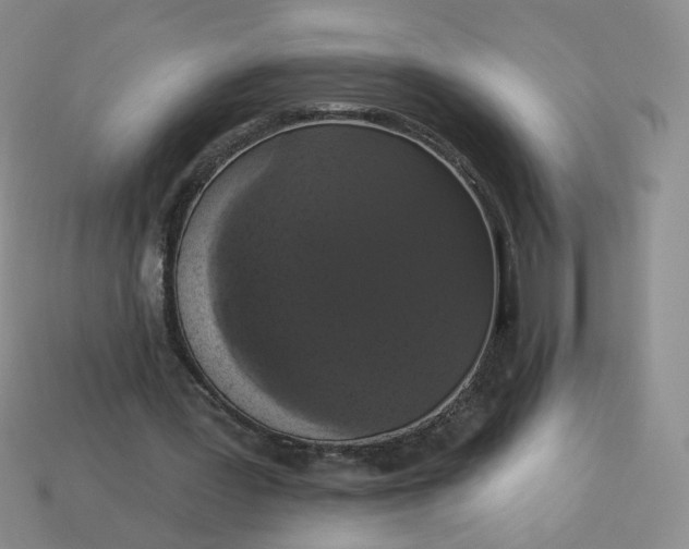 X0000113270387200910011432