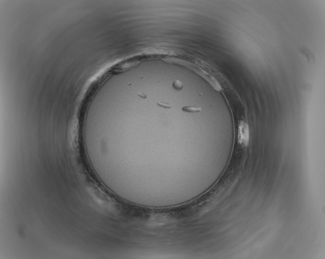 X0000113270388200910011432