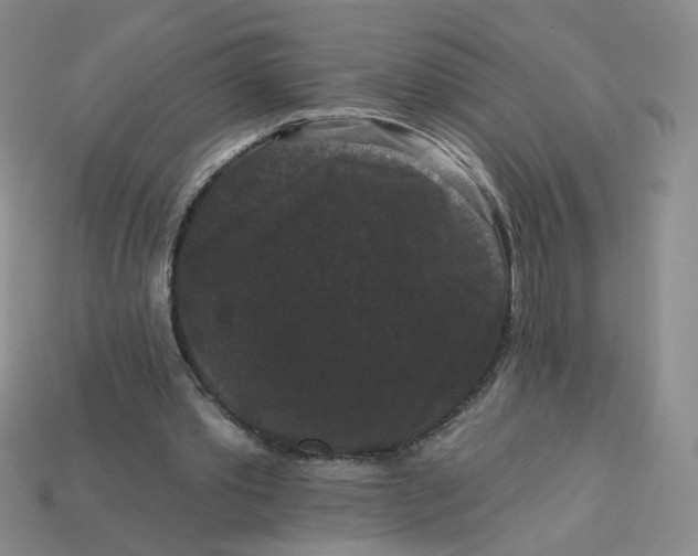 X0000113270389200910011432