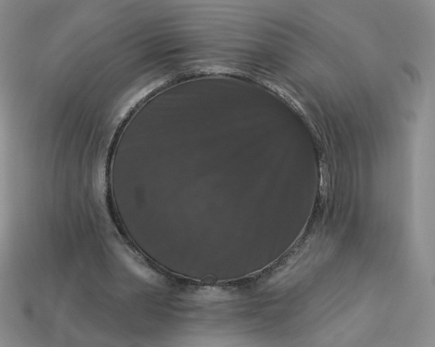 X0000113270390200910011432