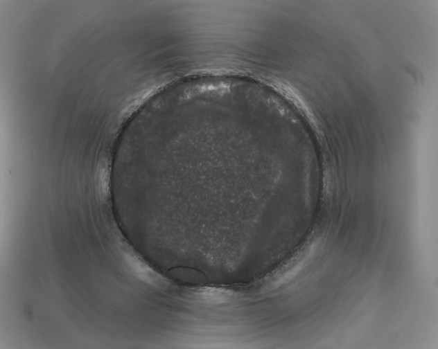 X0000113270393200910011432