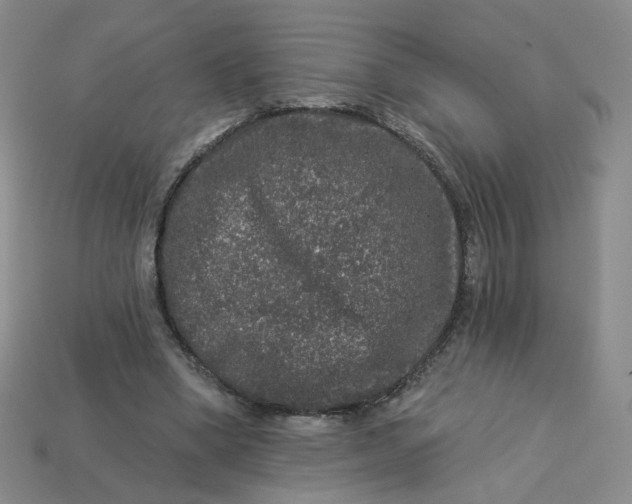 X0000113270394200910011432