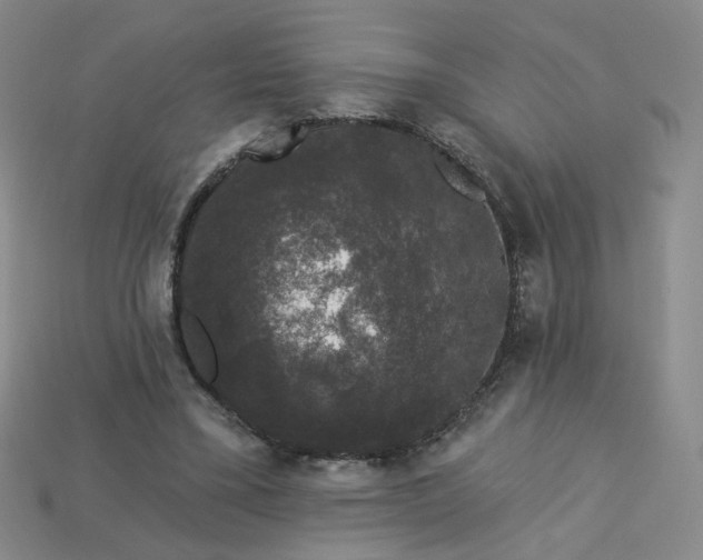 X0000113270395200910011432