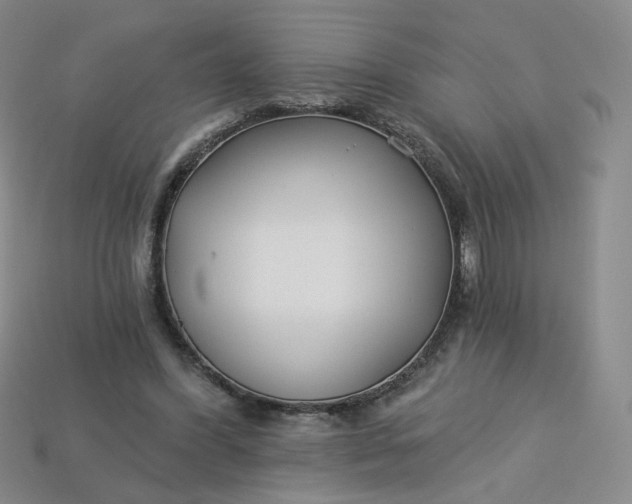 X0000113270396200910011432