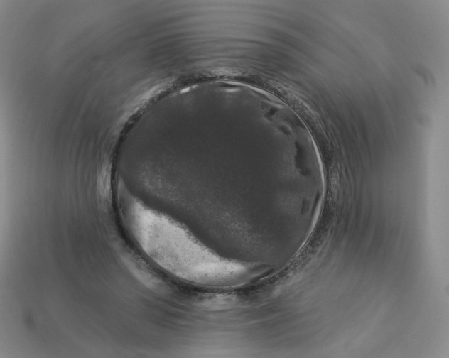 X0000113270398200910011432