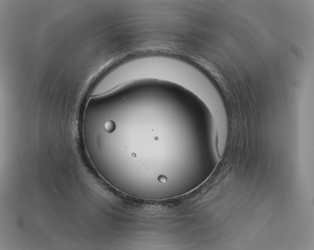 X0000113270399200910011432