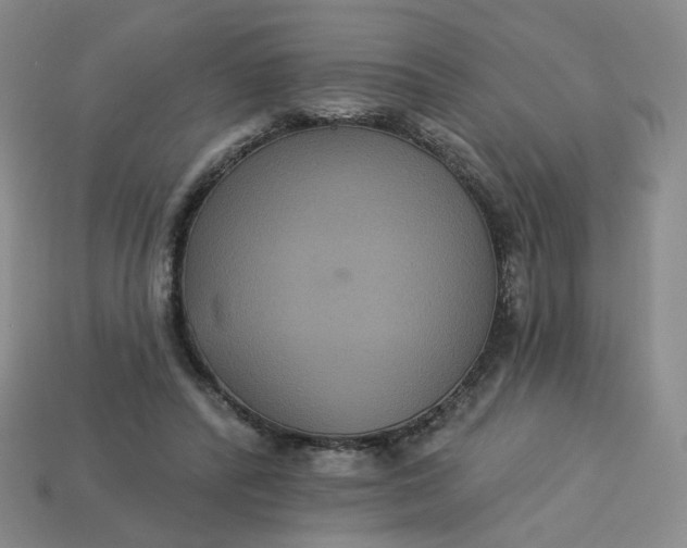 X0000113270400200910011432