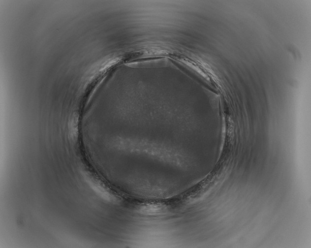 X0000113270402200910011432